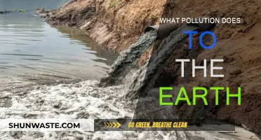 The Earth Suffers Under Pollution's Heavy Burden
