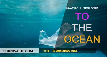 Ocean Pollution: Understanding the Devastating Impact