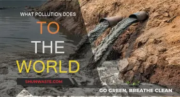 Pollution's Impact: A World in Danger