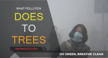 Trees and Pollution: A Toxic Relationship