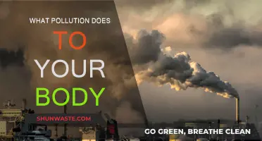 Pollution's Impact: How It Harms Your Body