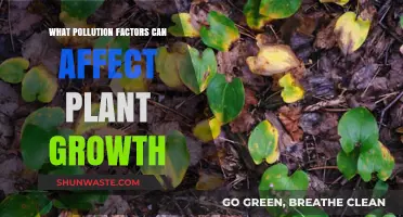 Unveiling the Impact: Pollution's Role in Plant Growth