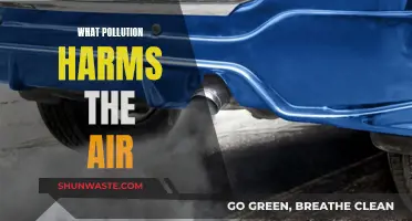 Air Pollution: Harmful Effects and Causes