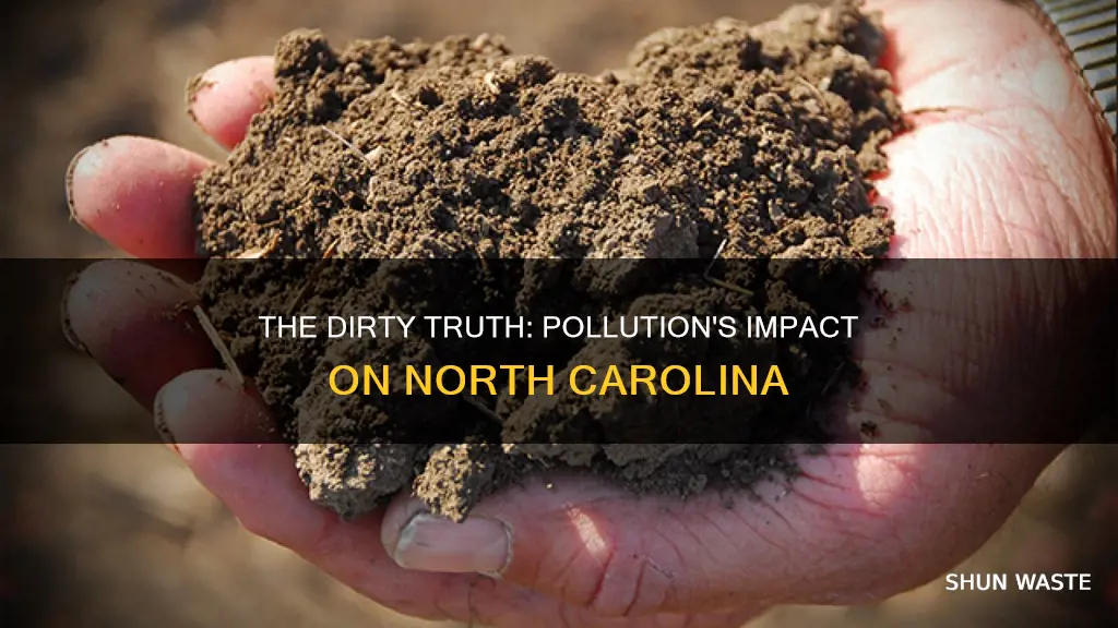 what pollution is affecting nc