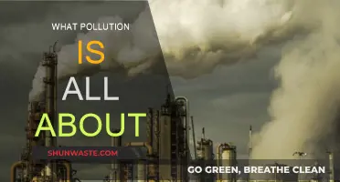Understanding Pollution: Its Sources and Impacts