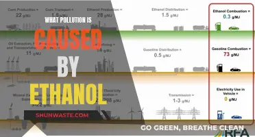 Unveiling Ethanol's Impact: The Hidden Pollution of Ethanol Production