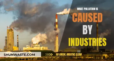 Industrial Pollution: A Hidden Environmental Threat