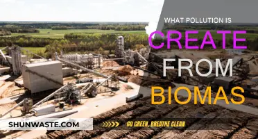 Biomass Burning: The Pollution It Creates