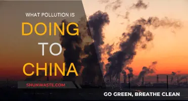 China's Pollution Crisis: A Dire Situation