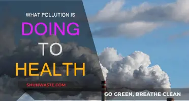 Pollution's Impact: A Health Crisis