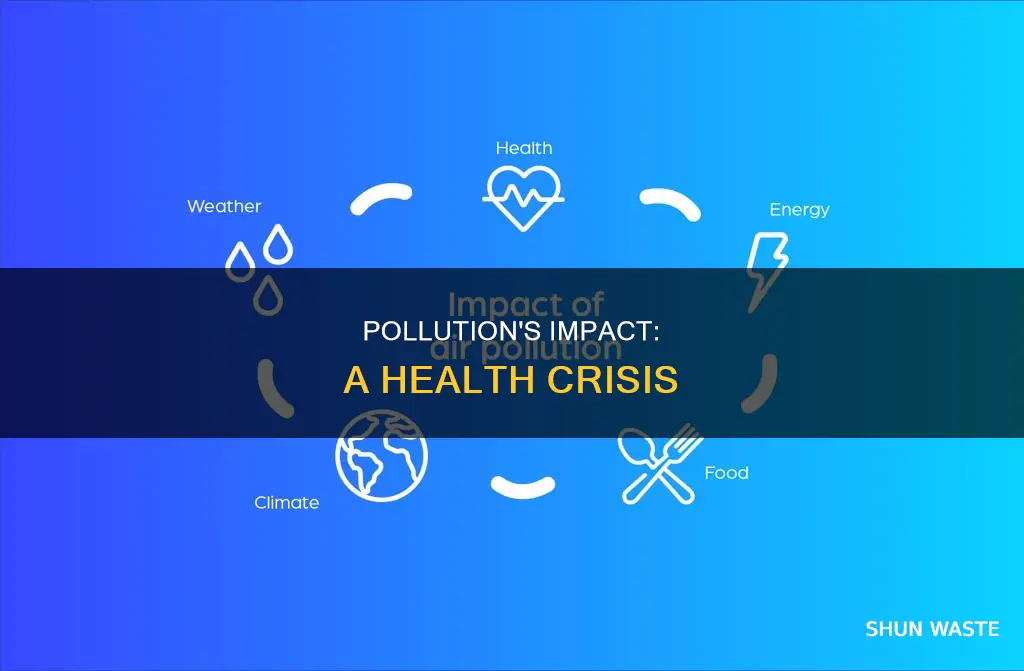 what pollution is doing to health