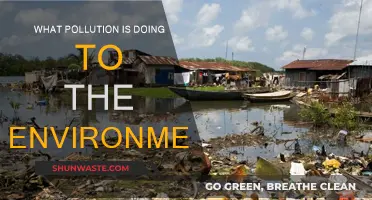 Pollution's Impact: Devastating Our Environment
