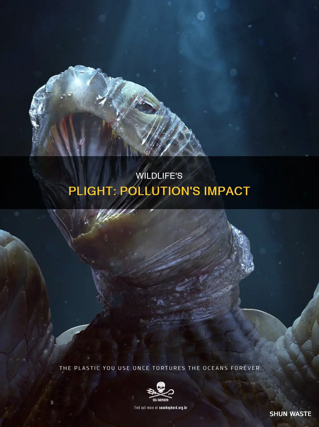 what pollution is doing to the wildlife
