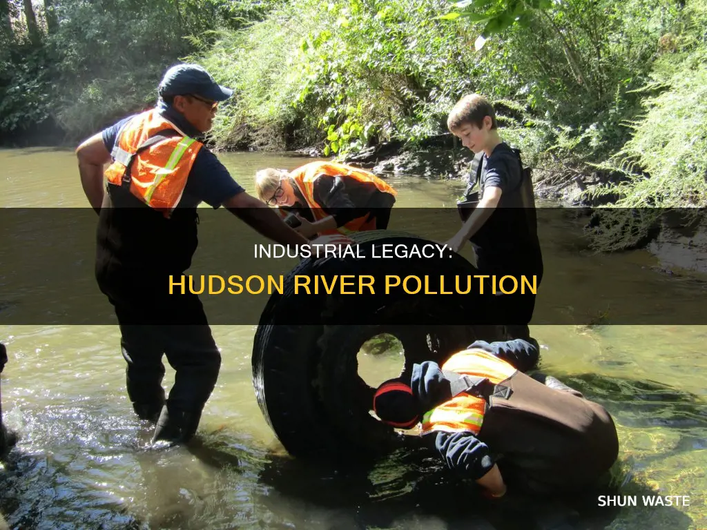what pollution is in hudson river
