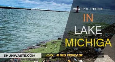 Lake Michigan's Pollution Problem: What's in the Water?