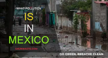 Mexico's Pollution Crisis: A Comprehensive Overview