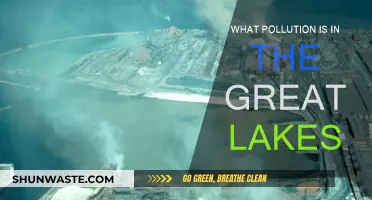 Great Lakes Pollution: What's the Damage?