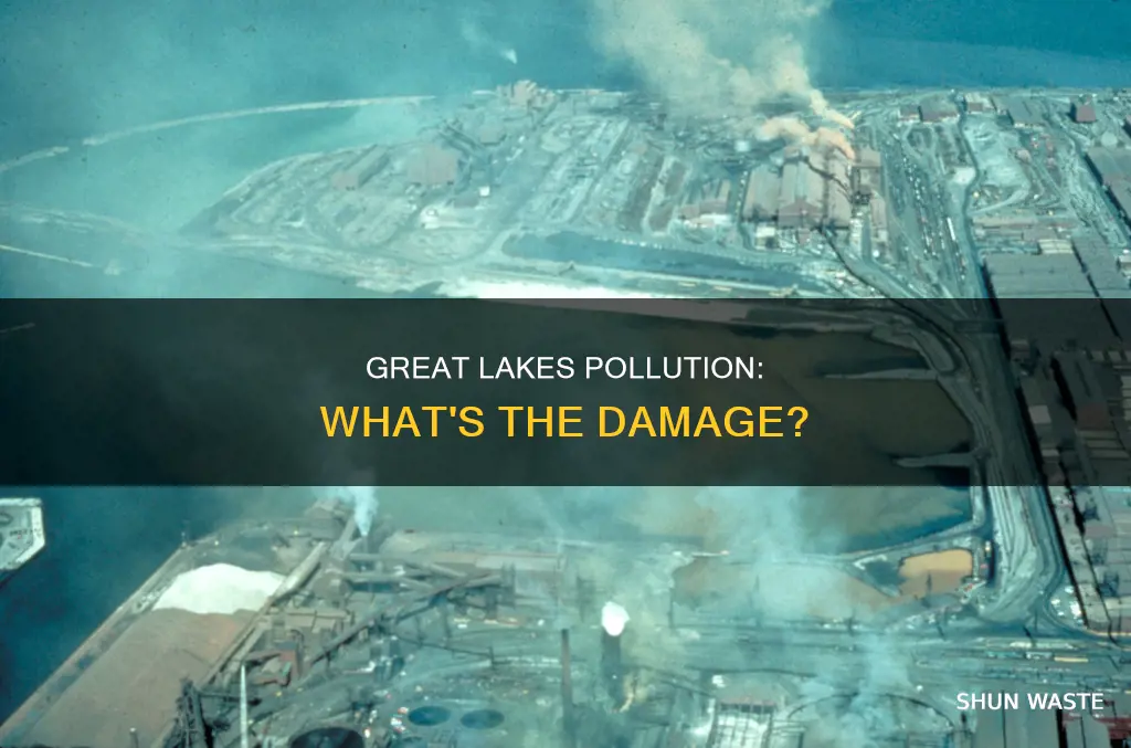 what pollution is in the great lakes