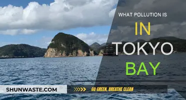 Tokyo Bay Pollution: Understanding the Crisis