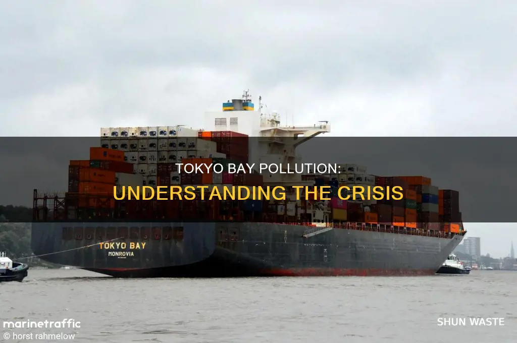 what pollution is in tokyo bay