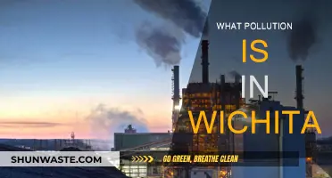 Wichita's Pollution: What's the Problem?