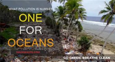 Ocean's Top Polluter: Plastics and Their Deadly Impact