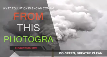 What Type of Pollution Is This?
