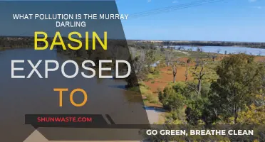 The Murray-Darling's Pollution Problems