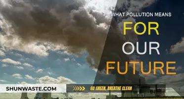 Pollution's Future: Our World's Darkening Fate
