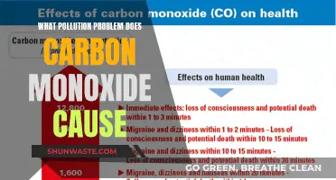 Unveiling Carbon Monoxide's Hidden Environmental Impact: A Pollution Crisis