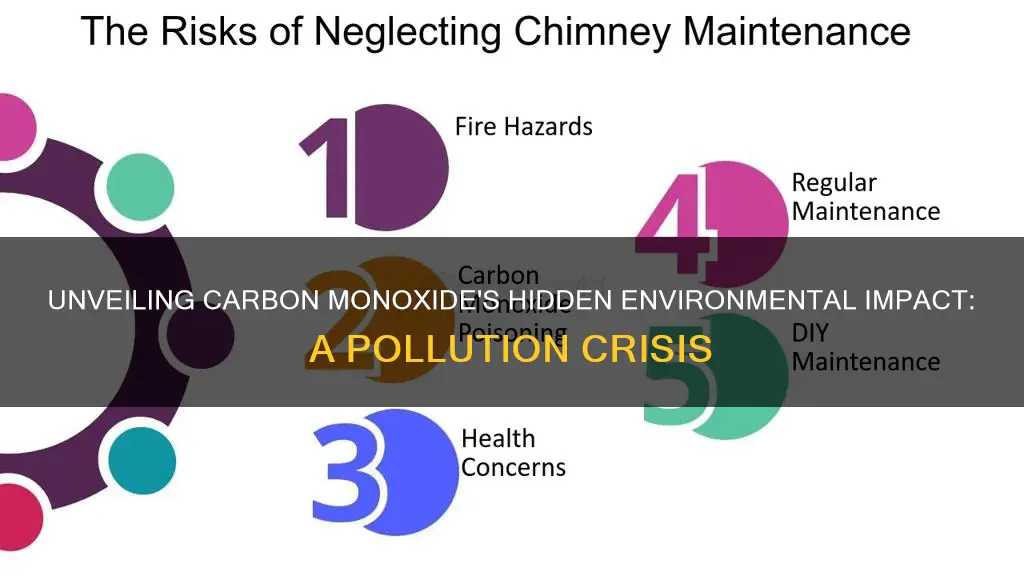 what pollution problem does carbon monoxide cause