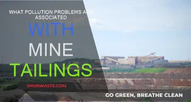 Mine Tailings: Pollution Problems and Environmental Impact
