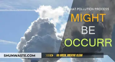 The Earth's Pollution: What's Happening and Why?