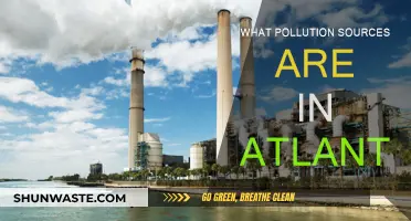 Atlanta's Pollution: Sources and Solutions