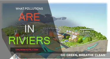 River Pollution: Understanding the Contaminants