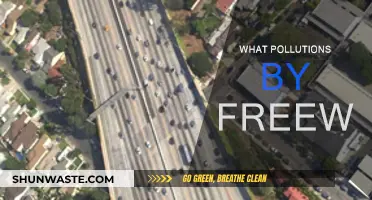 Freeway Pollution: Understanding the Impact on Our Health