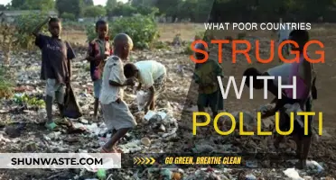 Developing Nations: Pollution's Heavy Burden