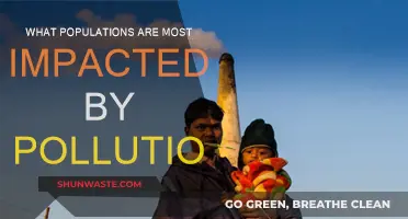 Pollution's Impact: Who Suffers Most?