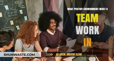 Fostering Collaboration: Key Elements for a Positive Team Work Environment