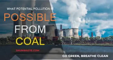 Coal's Dark Side: Pollution and Environmental Hazards