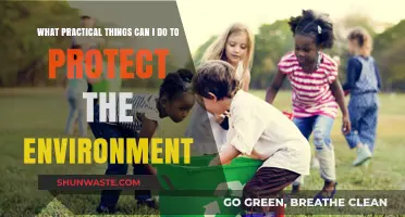 Eco-Friendly Actions: Simple Steps to Protect Our Planet Daily
