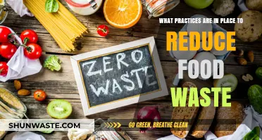 Sustainable Strategies: How Businesses and Individuals Combat Food Waste