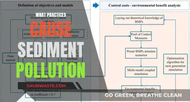 Unveiling Sediment Pollution: Practices and Their Impact