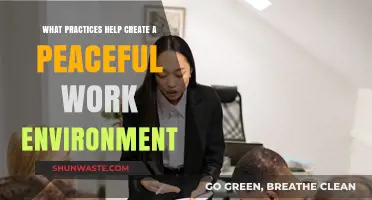 Fostering Harmony: Key Practices for a Peaceful Work Environment