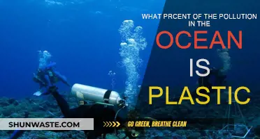 Plastic Pollution: Ocean's Perilous Predicament
