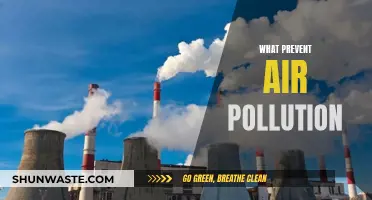 Clean Air Strategies: Preventing Pollution and Protecting Our Future