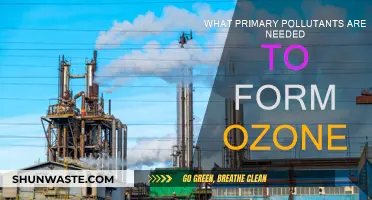 The Complex Chemistry of Ozone Formation