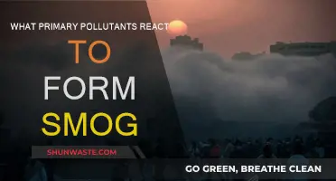 Understanding Smog: Primary Pollutants Reacting in Our Atmosphere