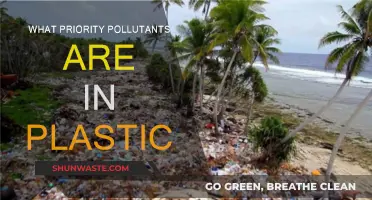 Plastic Pollution: Toxic Priority Chemicals Revealed