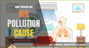 Air Pollution: A Health Hazard